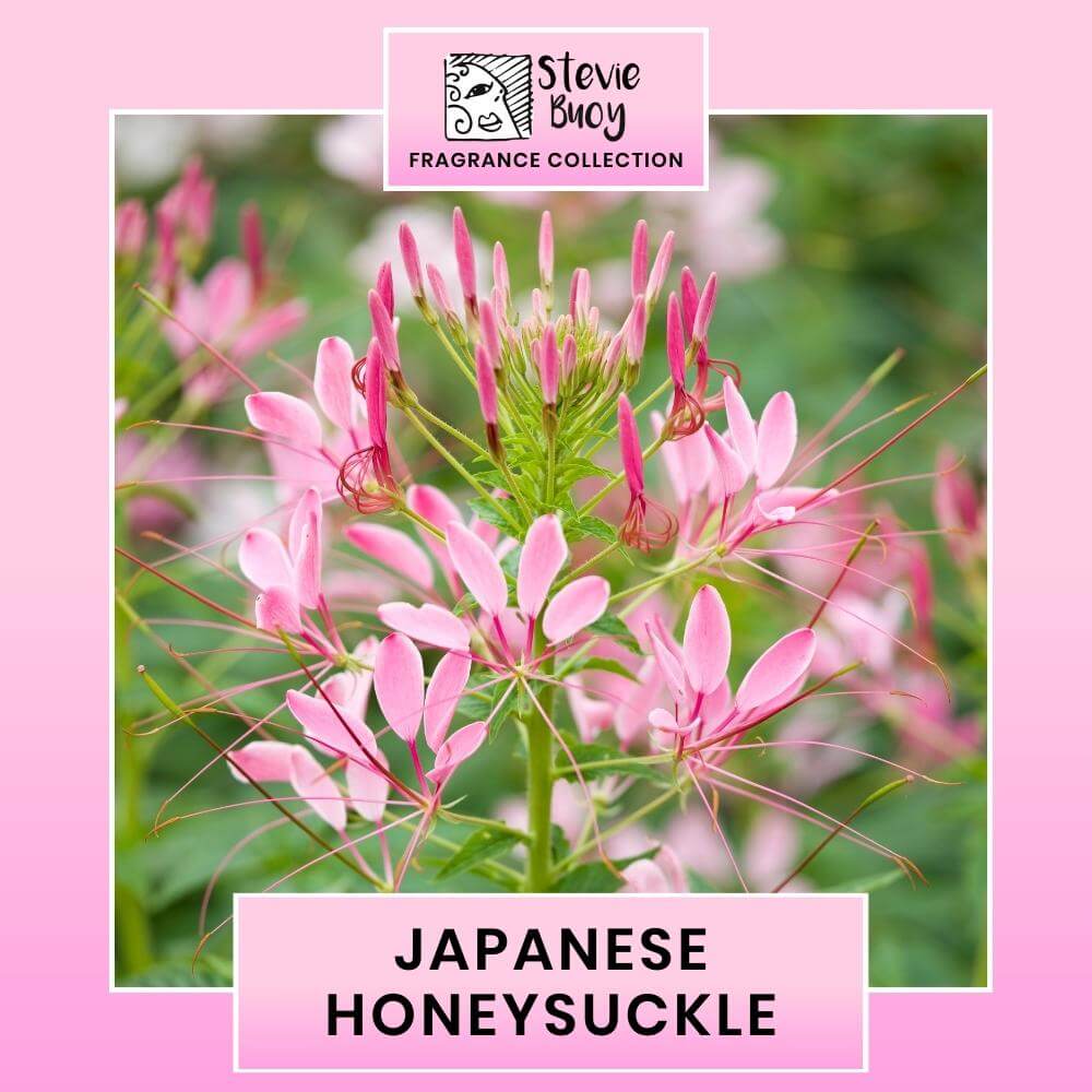 JAPANESE HONEYSUCKLE FRAGRANCE