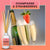 Champagne & Strawberries Reed Diffuser