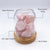 Aurora Crystal Diffuser - Rose Quartz