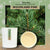 Woodland Pine Scented CocoSoy Candles