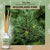 Woodland Pine Reed Diffuser