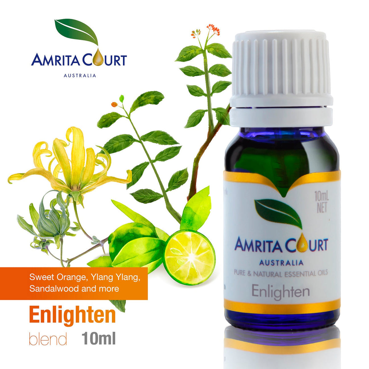 Amrita Court Pure and Essential Oils Enlighten 10ml - by Stevie Buoy