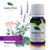 Amrita Court Pure and Essential Oils Peaceful Sleep 10ml - by Stevie Buoy