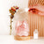 Aurora Crystal Diffuser - Rose Quartz - by Stevie Buoy