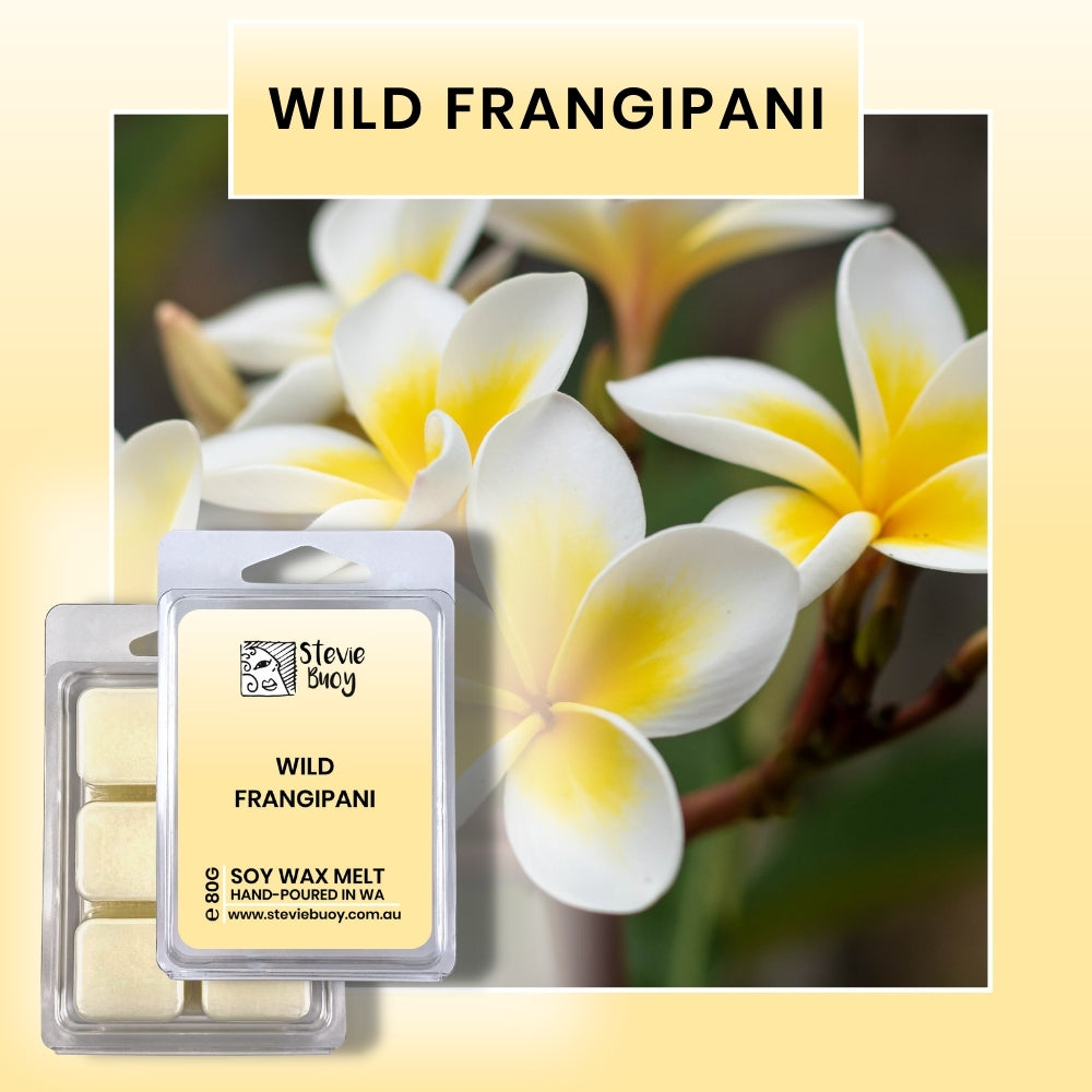 Clamshell Wax Melts - Wild Frangipani by Stevie Buoy ?? Shop now!!