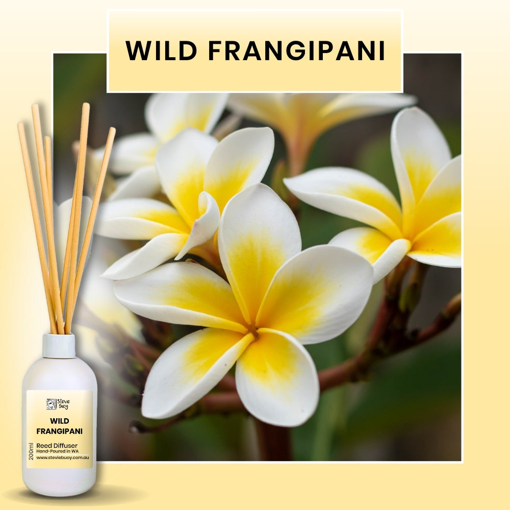 Classic Reed Diffuser - Wild Frangipani / 200ml by Stevie Buoy ?? Shop now!!