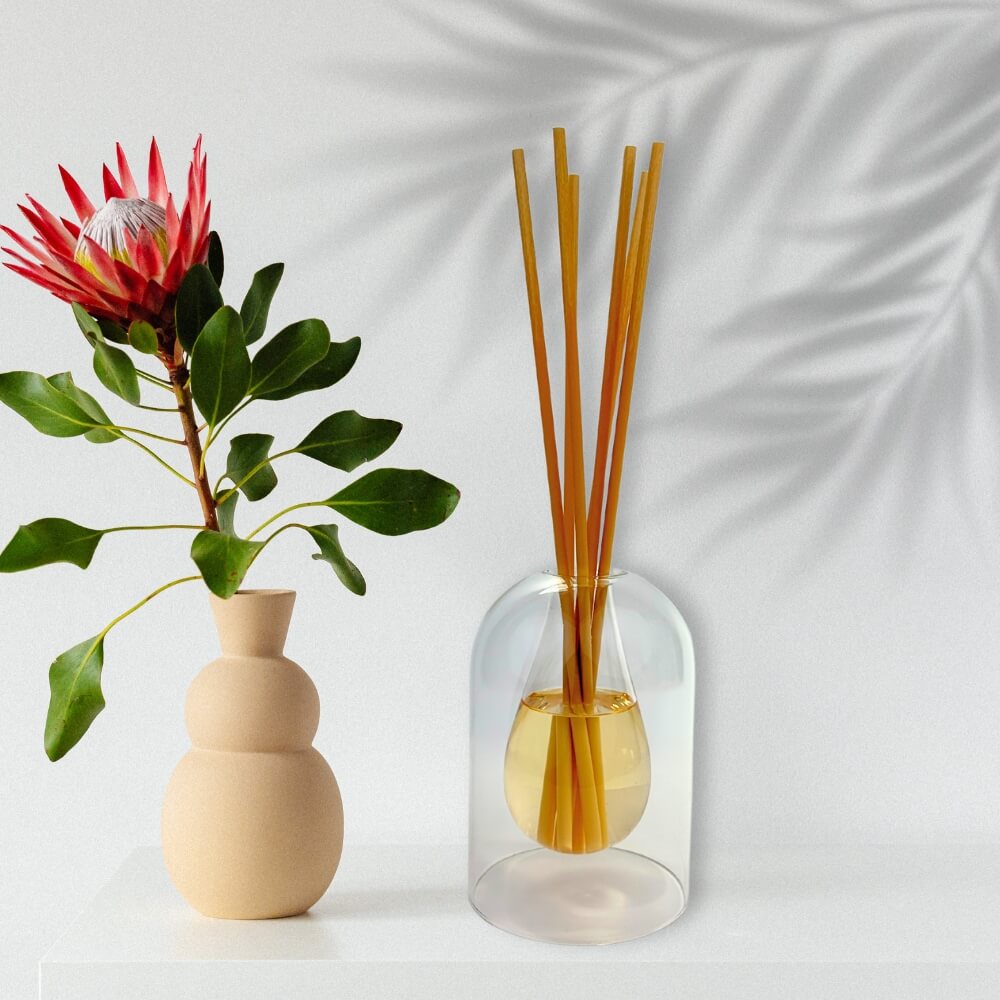 Clear Aqua Glass Reed Diffuser - 200ml by Stevie Buoy