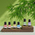 Energy Essential Oil Blend for Aroma Diffusers - 10ml by Stevie Buoy