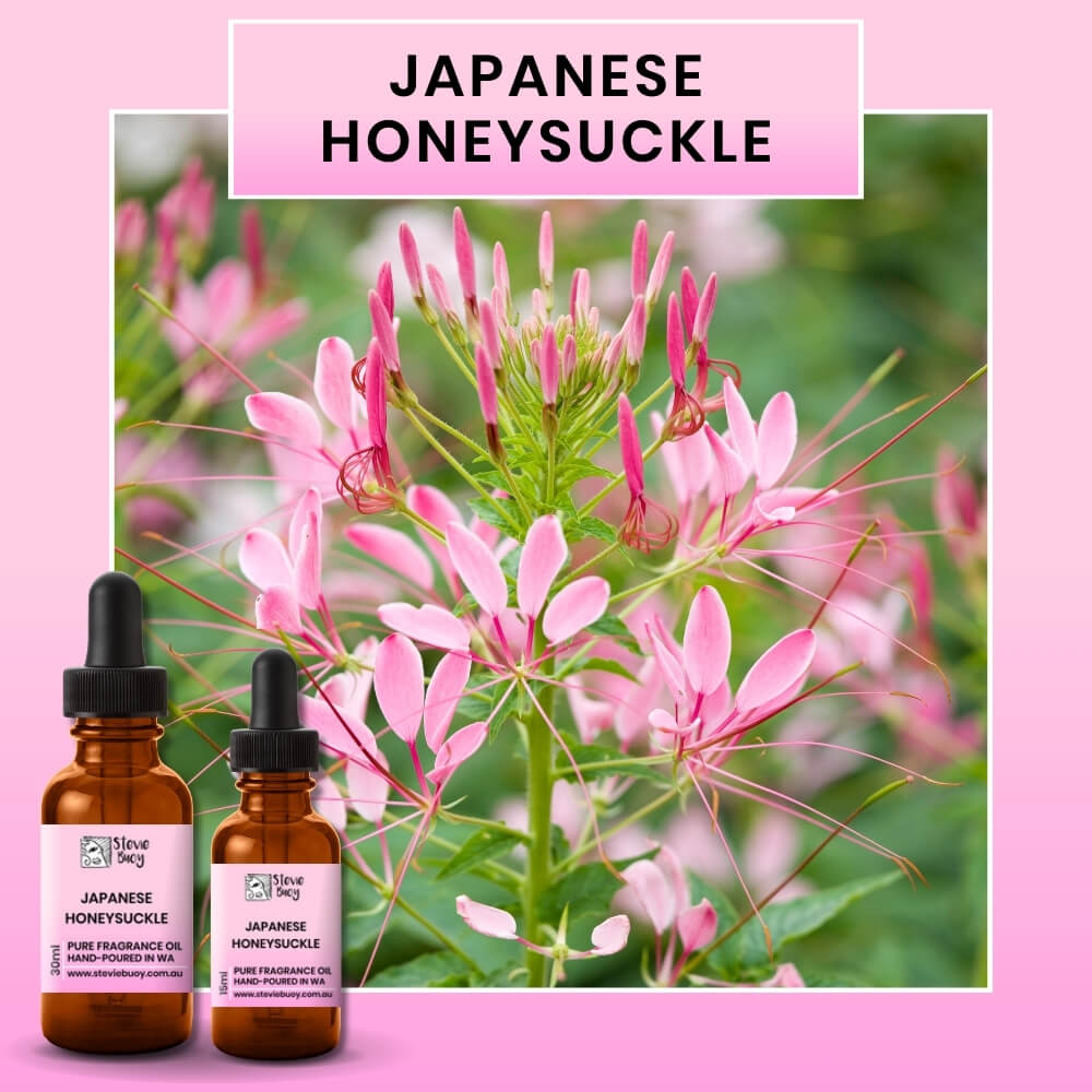 Fragrance Oil for Aroma Diffusers - Japanese Honeysuckle / 15ml by Stevie Buoy ?? Shop now!!