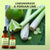 Fragrance Oil for Aroma Diffusers - Lemongrass & Persian Lime / 15ml by Stevie Buoy ?? Shop now!!