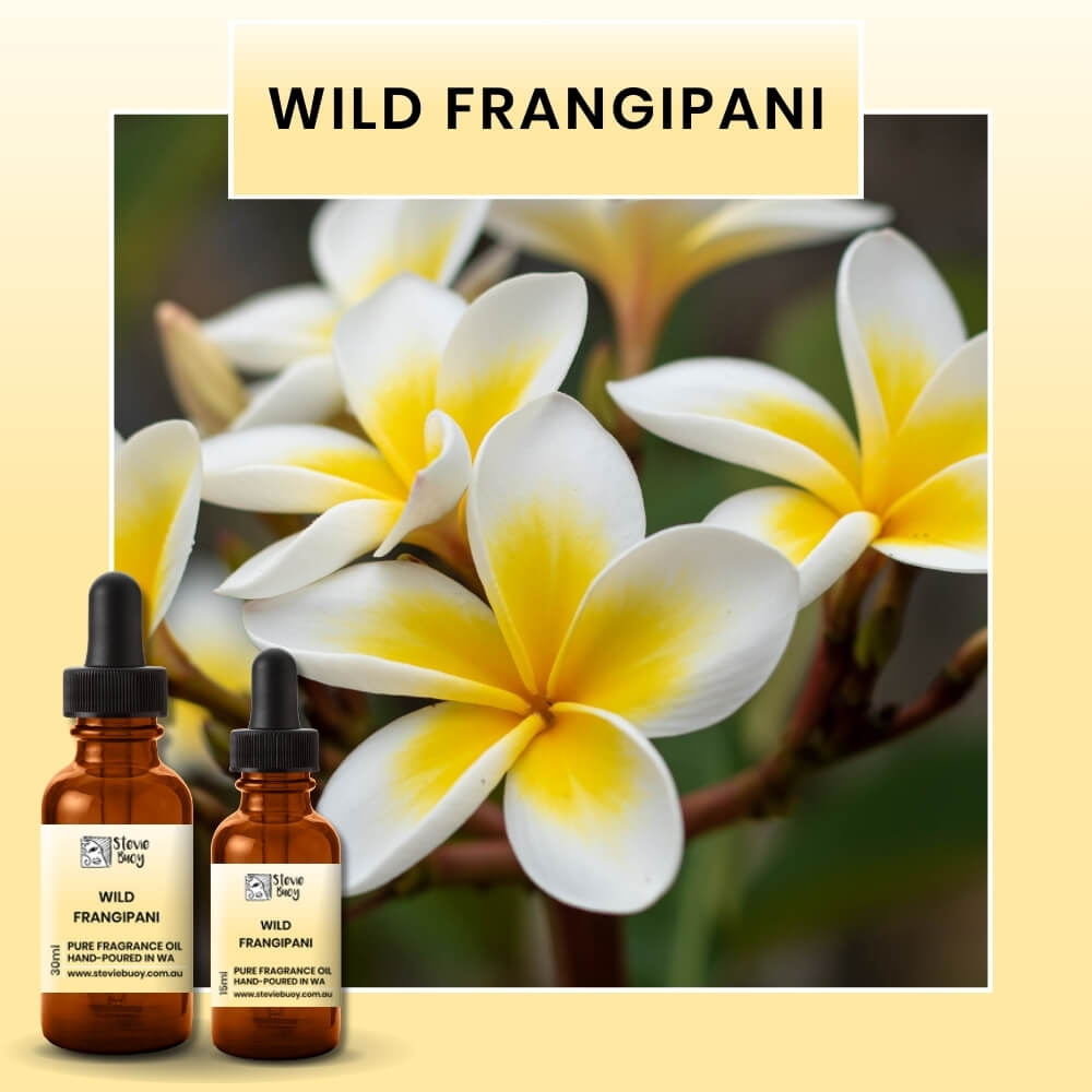 Fragrance Oil for Aroma Diffusers - Wild Frangipani / 15ml by Stevie Buoy ?? Shop now!!