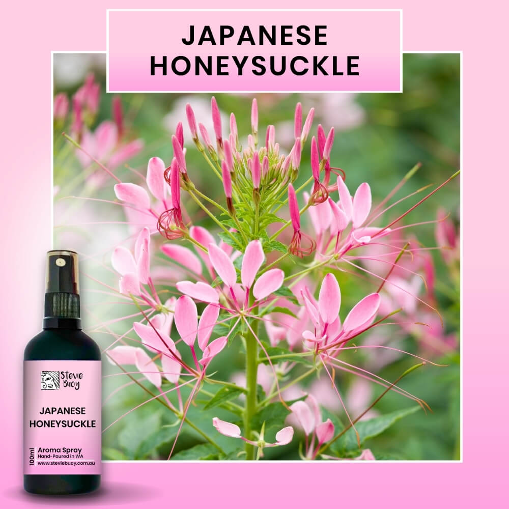 Japanese Honeysuckle Aroma Spray - 100ml by Stevie Buoy