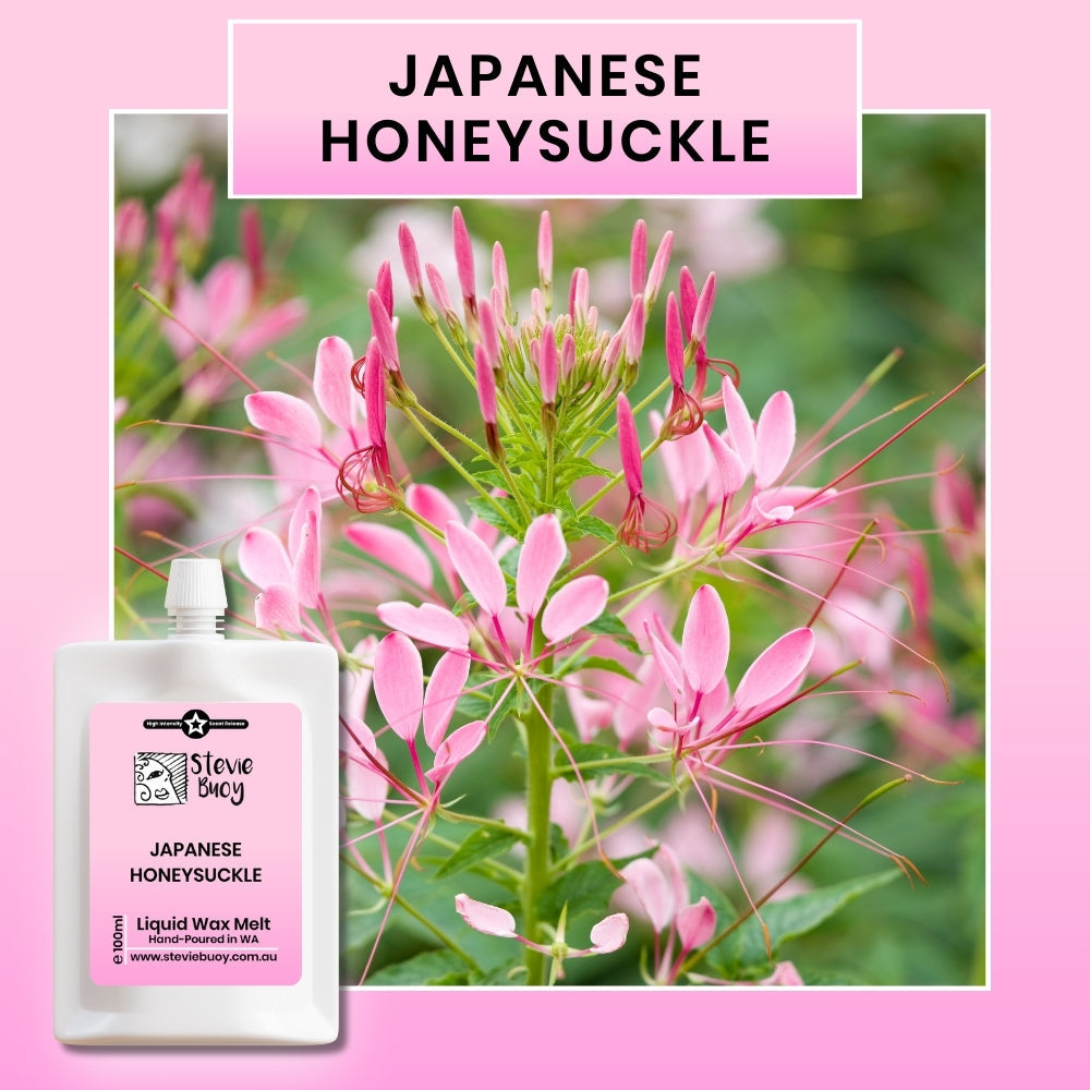 Japanese Honeysuckle Liquid Wax Melts - by Stevie Buoy