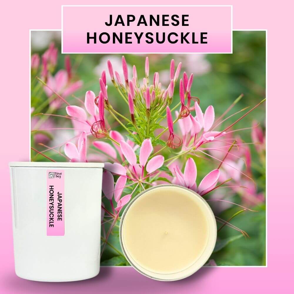 Japanese Honeysuckle Scented Cocosoy Candles - Large by Stevie Buoy