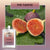 Liquid Wax Melts - Fig Tastic by Stevie Buoy ?? Shop now!!