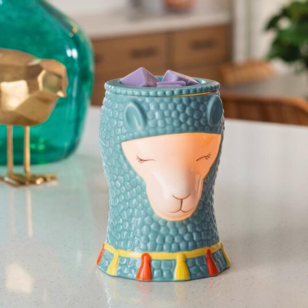 Llama Illumination Warmer - by Stevie Buoy