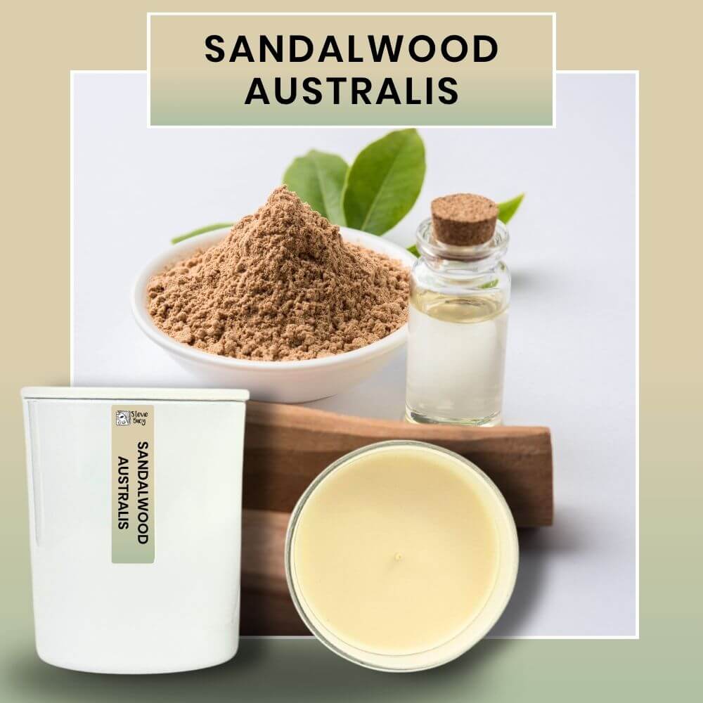 Sandalwood Australis Scented Cocosoy Candles - Large by Stevie Buoy