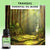 Tranquil Essential Oil Blend for Aroma Diffusers - 10ml by Stevie Buoy