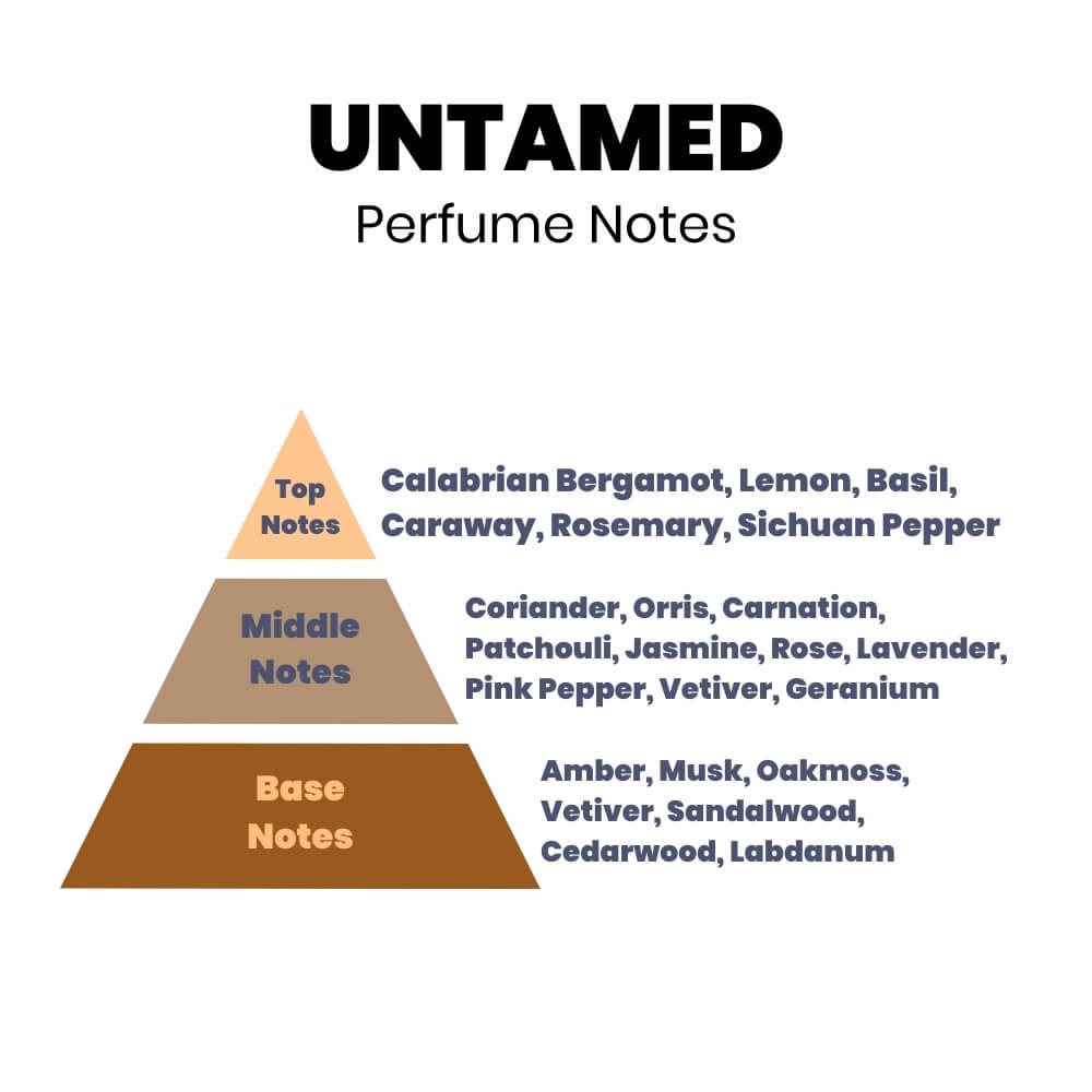 Untamed Perfume Scented Reed Diffuser - 200ml by Stevie Buoy