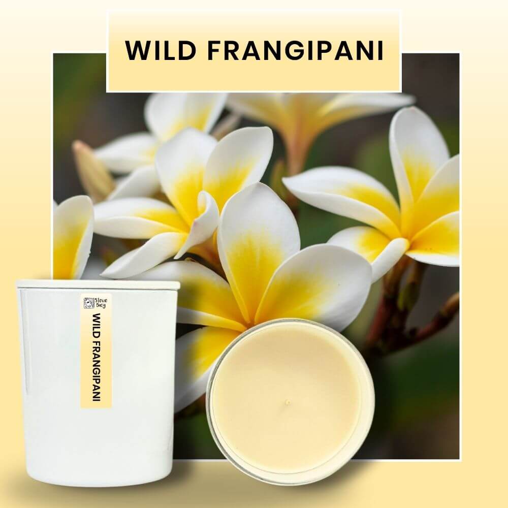 Wild Frangipani Scented Cocosoy Candles - Large by Stevie Buoy